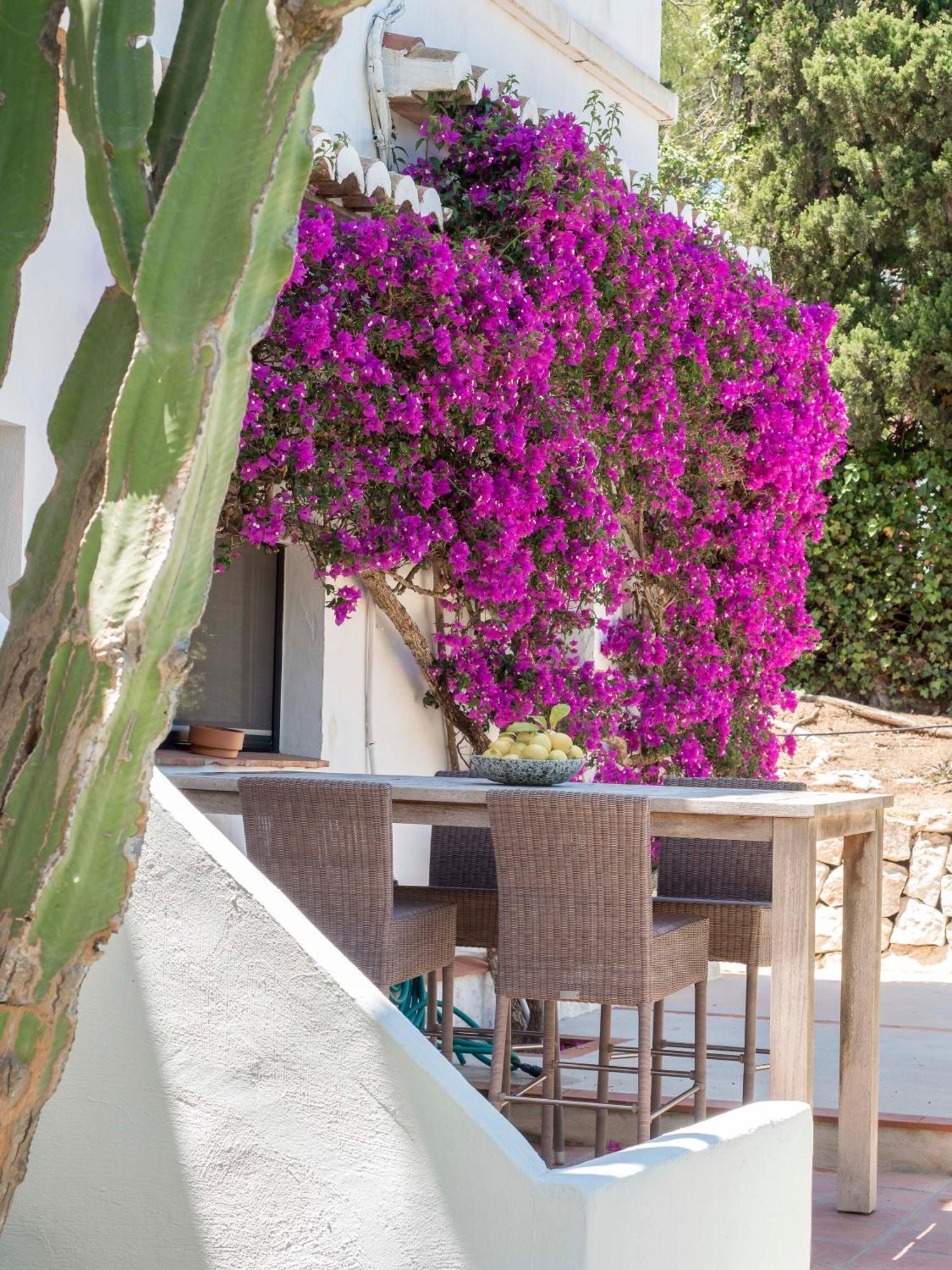 Villa Tosalet Pomelo Γιαβέα Εξωτερικό φωτογραφία
